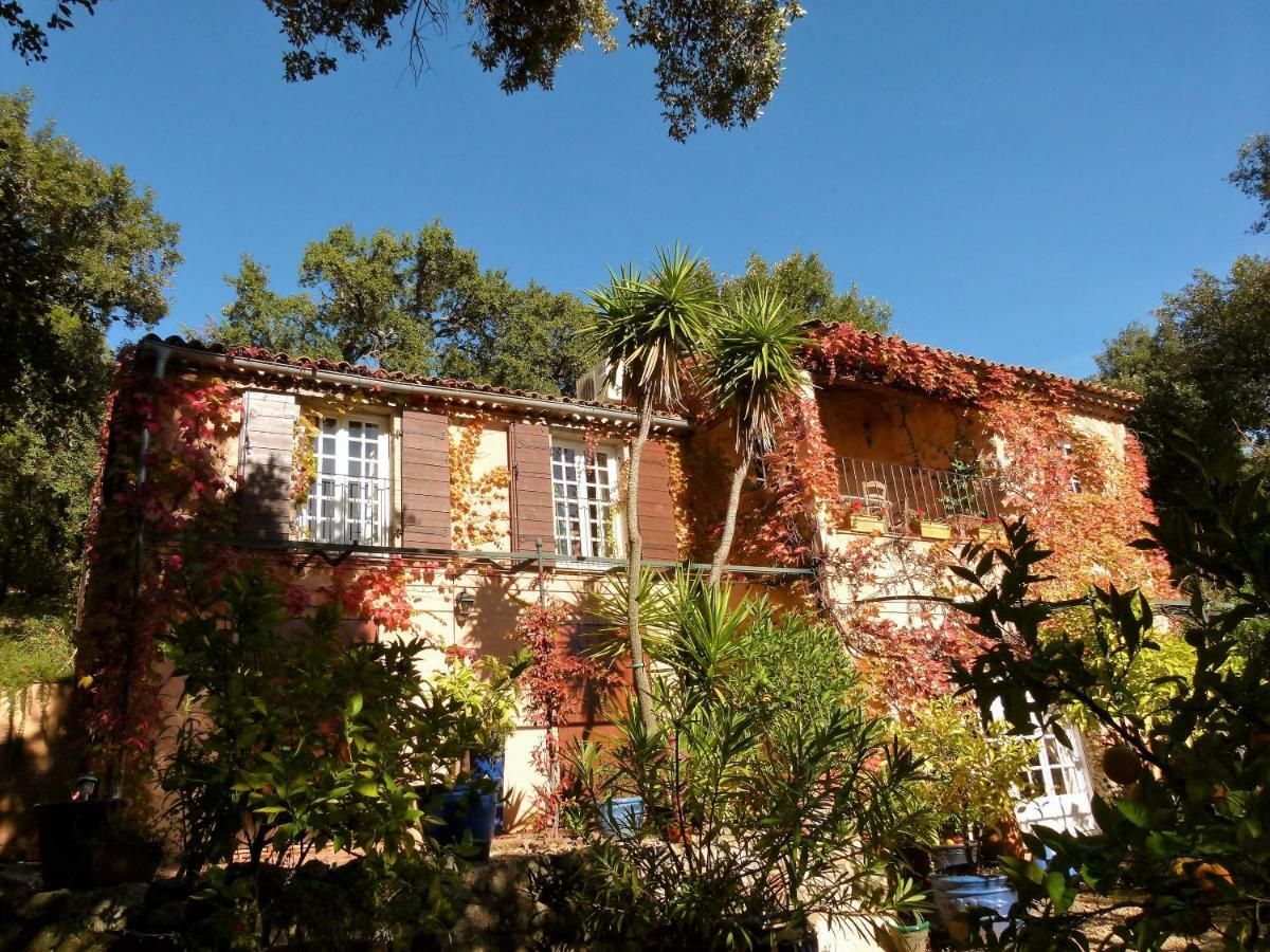 Le Bastidon Saint-Michel Sainte-Maxime Exterior foto