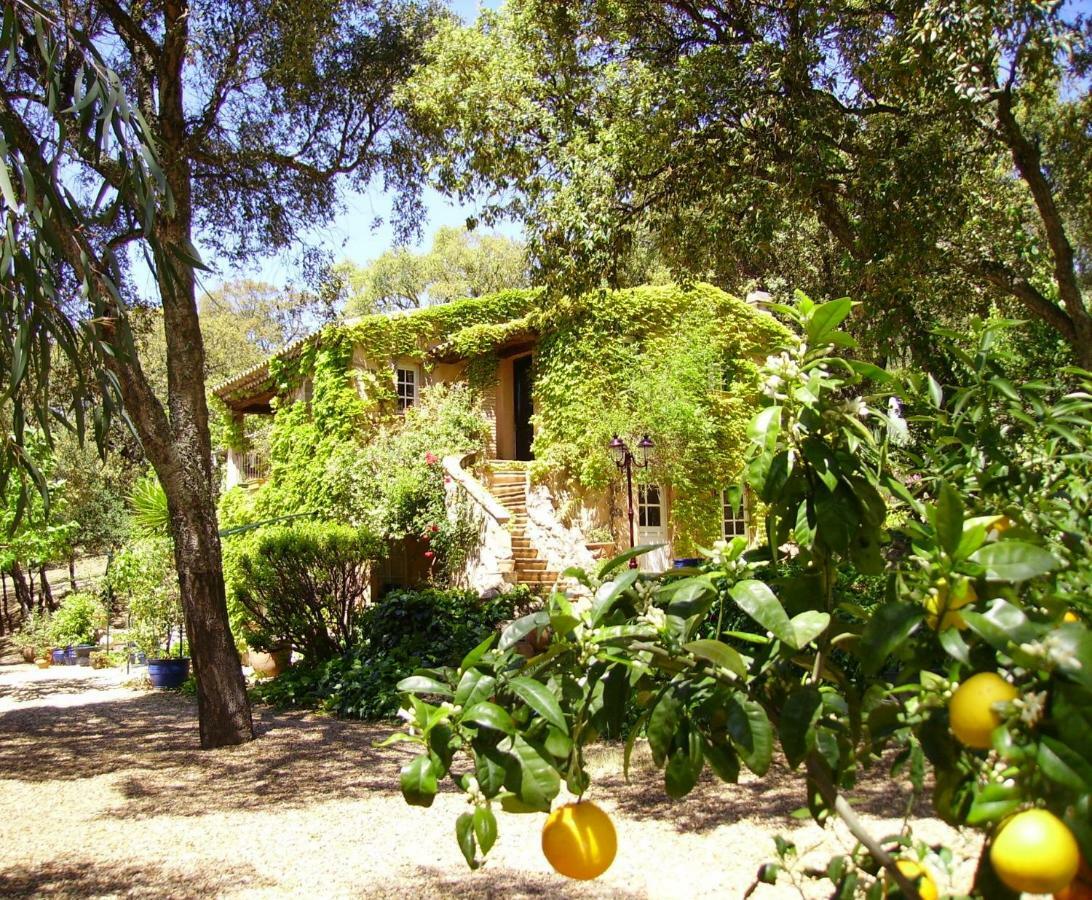 Le Bastidon Saint-Michel Sainte-Maxime Exterior foto